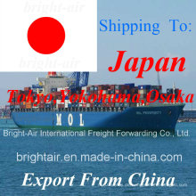 Containertransport Von China nach Tokio, Nagoya, Osaka, Yokohama